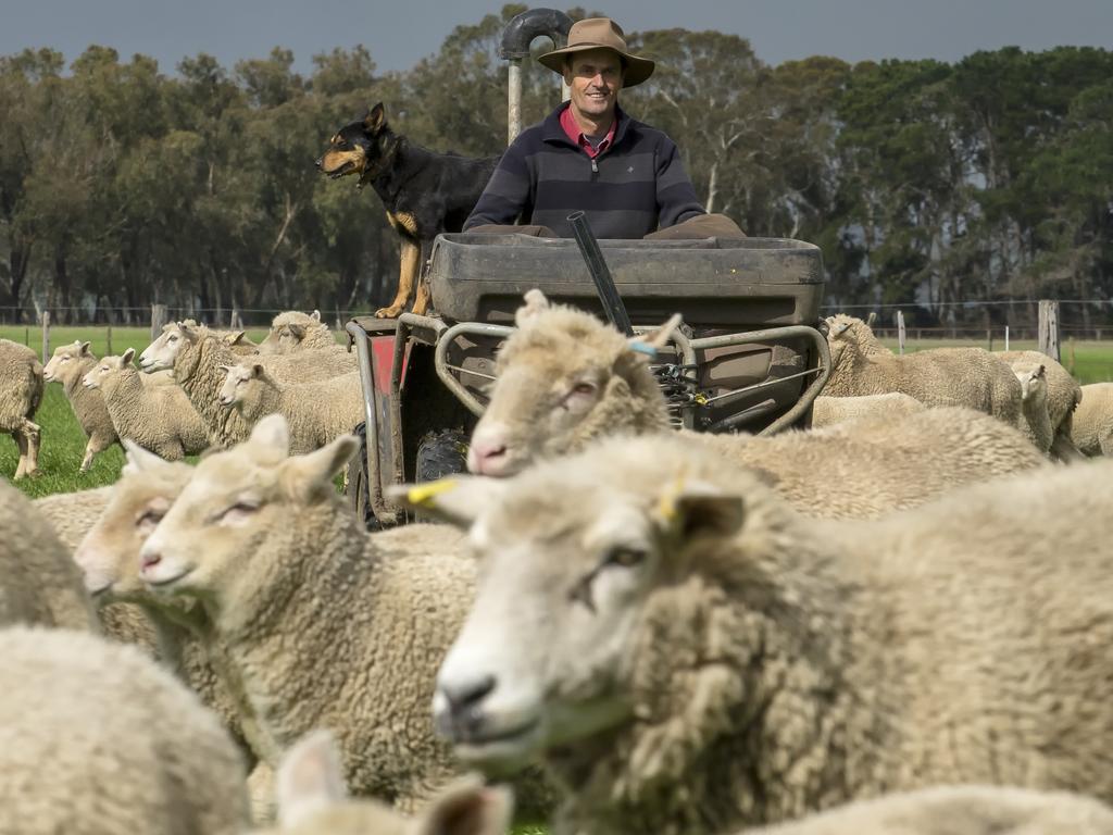 Lamb joins a long list of Australian products sanctioned by Beijing. Picture: Luis Enrique Ascui