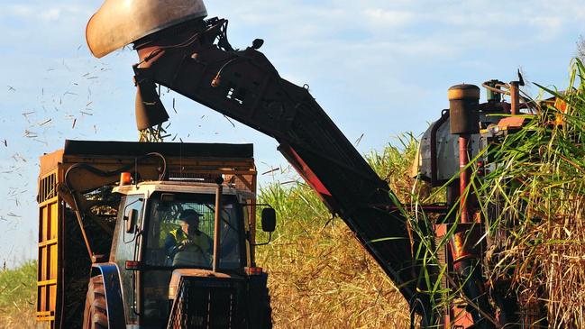 Sugar cane is harvested on a farm in Bundaberg, Queensland. Picture: Bloomberg