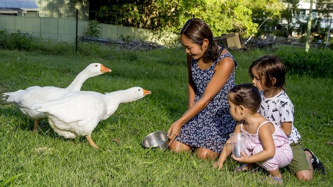 Kaori Kruck and her children Casius, 6, and Vivica, 3, feeding geese Captain Dirty Pants and Sticky. Picture: Jerad Williams