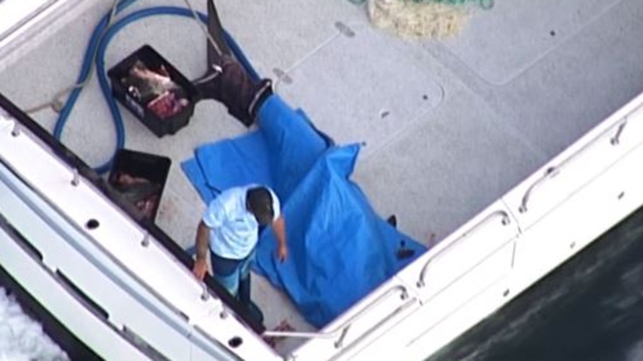 Nets checked ‘hours before’ shark attack | The Courier Mail