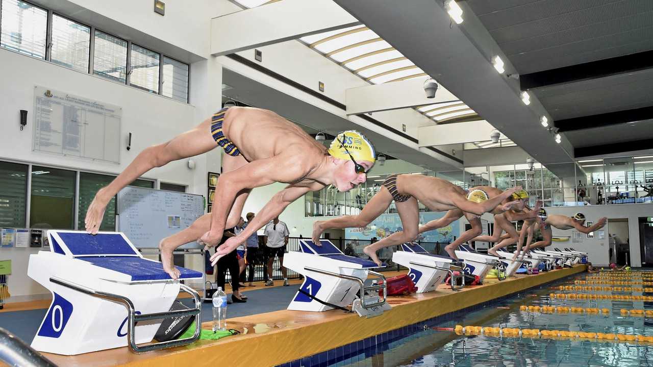 WORKING HARD: Charlie Schoorl dives in during a Toowoomba Grammar School Swimming Club training session. Athletes from the club bought home 35 medals from the Queensland Schools Swimming Championships. Picture: Bev Lacey