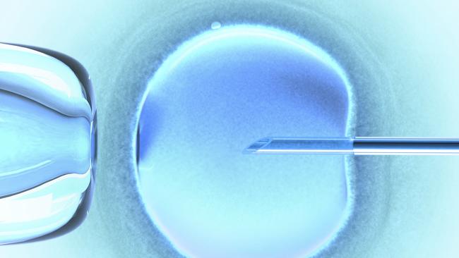 A number of Canberra couples have joined a class action against local IVF clinic Compass Fertility and Monash IVF.