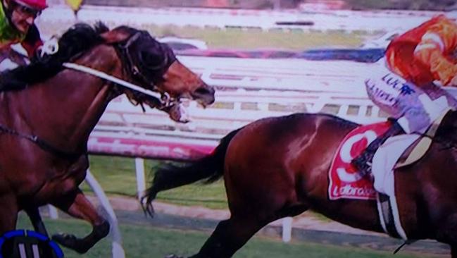If you can’t catch them, bite them: Duke Of Wellington goes the nibble in the fifth at Caulfield
