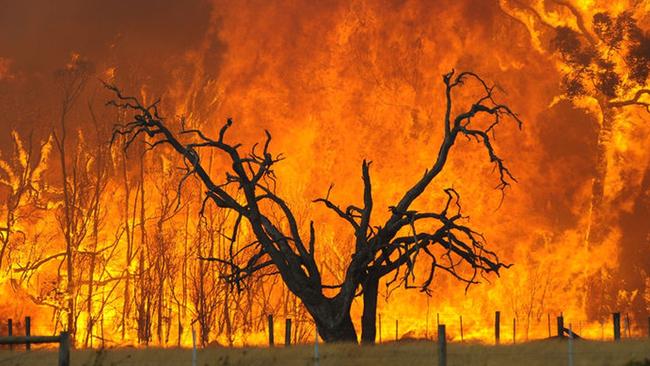 Mildura residents have been told to prepare for both floods and fires in the next few weeks.