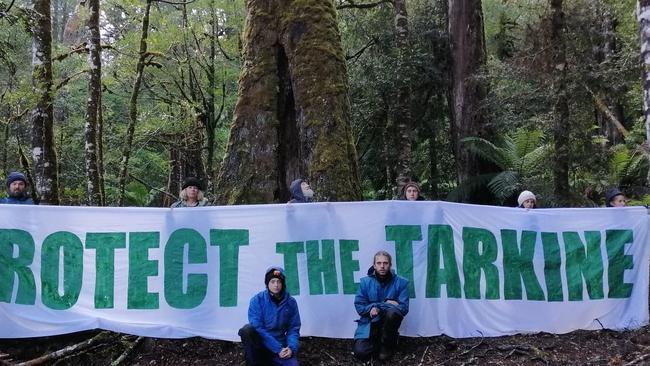 Bob Brown Foundation supporters are currently camped in rainforests at Que River, in a bid to stop logging by Sustainable Timbers Tasmania. Picture: BOB BROWN FOUNDATION