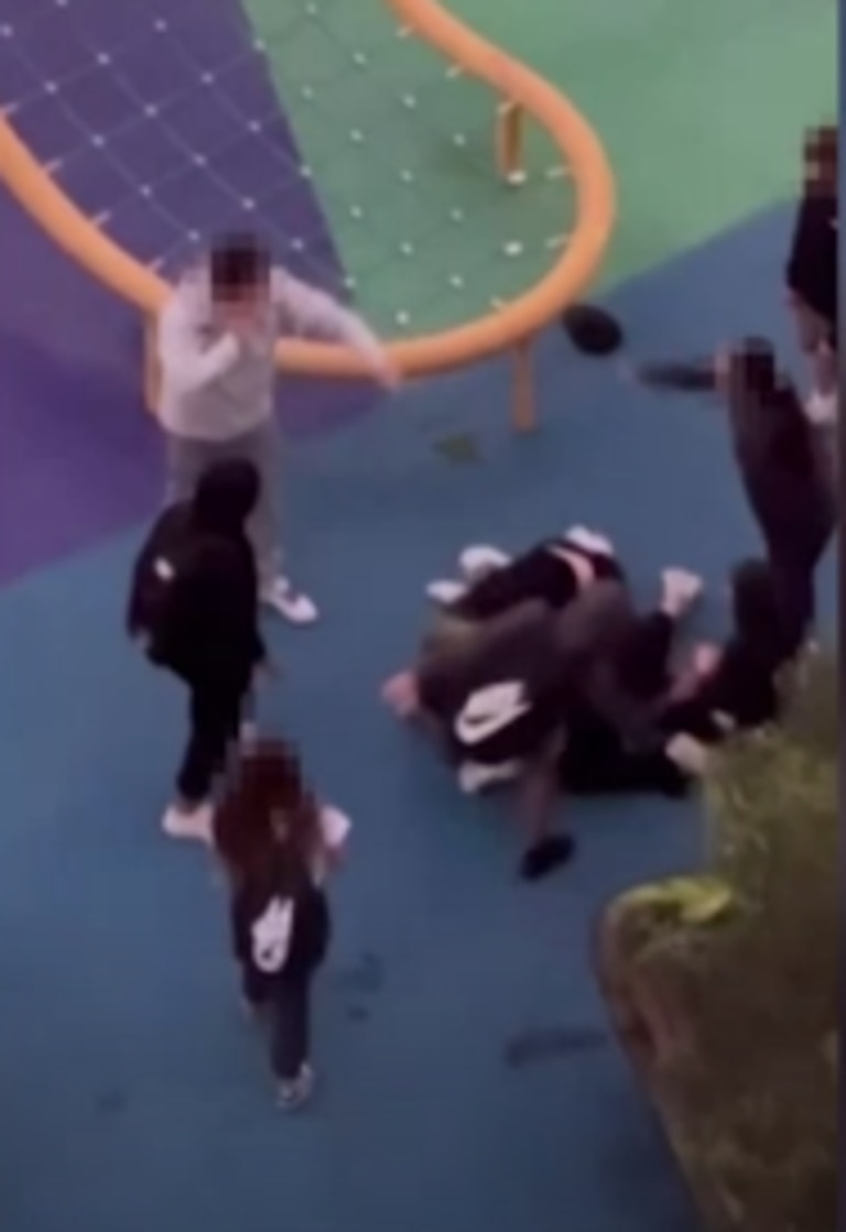 A man is seen in footage attempting to intervene. Picture: ABC