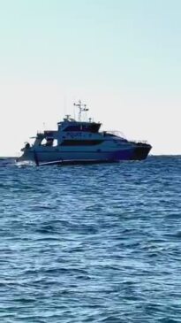 Search efforts at Lady Elliot Island