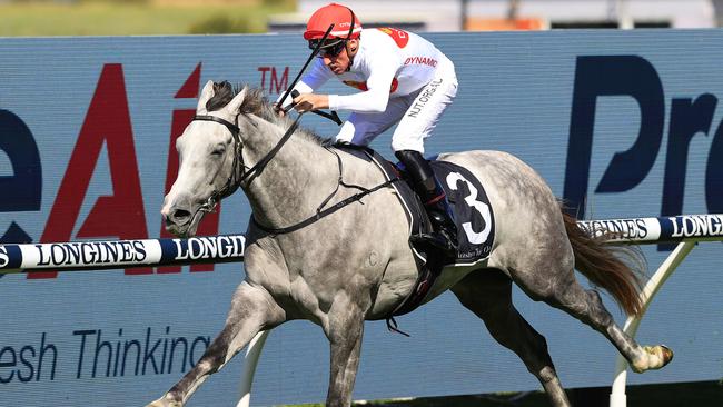 Love Tap is coming out of the Golden Eagle and looks hard to beat. Picture: Getty Images