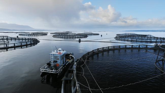 Tassal gains permit to explore potential of salmon farming off King ...