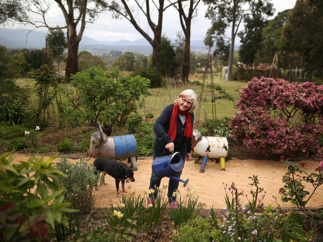 Virginia Heywood has transformed her garden, which has sweeping views of the Warburton Ranges. Picture: Stuart Milligan