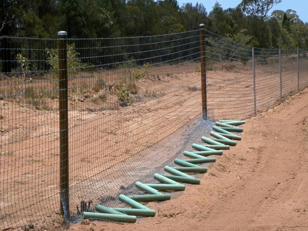 Wild dog clearance fence