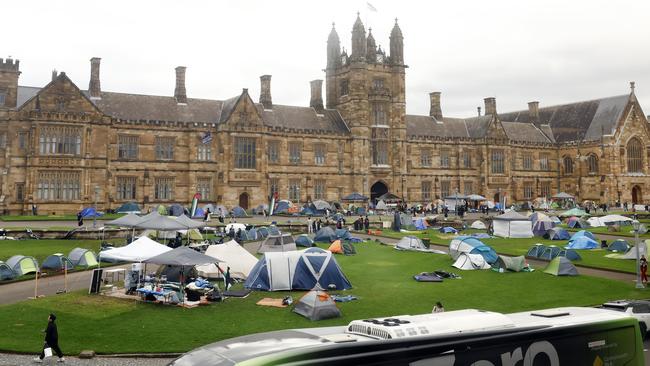 The protesters have been on the Sydney University lawns for two months. Picture: Richard Dobson