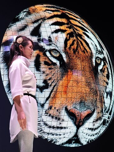 <p>A model displays Mitsubishi Electric's hemisphere Organic Light Emitting Diode (OLED) display.</p> <p>Picture: AFP</p>