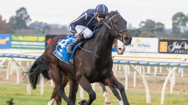 The Patrick Payne-trained Varane can bounce back to winning ways in the last race of Wednesday’s Sandown meeting. Picture: Racing Photos via Getty Images