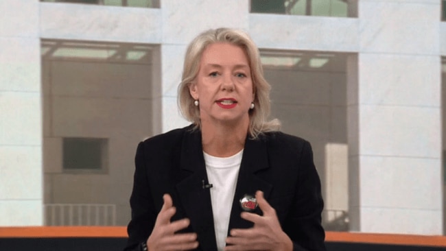 ‘Naïve’: Senator Bridget McKenzie blasts Fatima Payman and the Labor Party’s ‘identity politics’