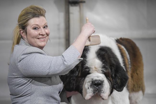 Julie Ross with her St Bernard called Beau Zam. Picture: Roy VanDerVegt