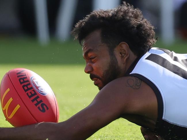 ‘Willie’s made a mistake’: Bevo speaks on Rioli saga
