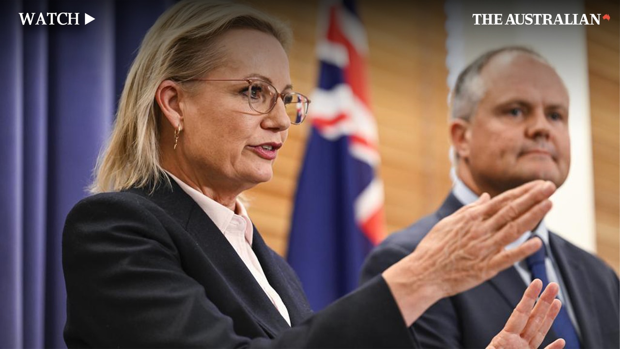 Who is Sussan Ley? The former punk pilot turned Leader of the Opposition