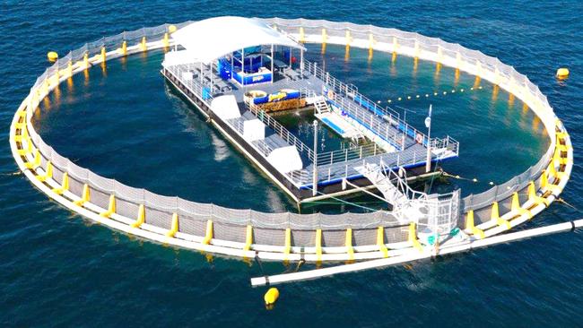 The tourist attraction tuna pen and pontoon will soon be in place 200m north-east of Granite Island.