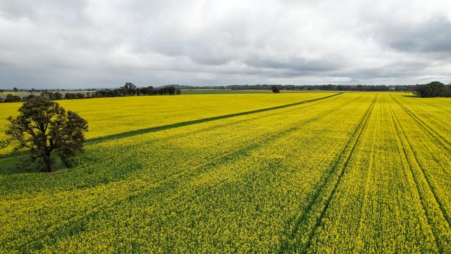 Paul and Colleen Hoffman have sold 353ha of their 843ha portfolio at Culcairn, NSW