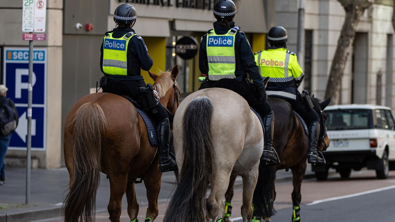 Police disperse alleged neo-Nazi protest-crashers