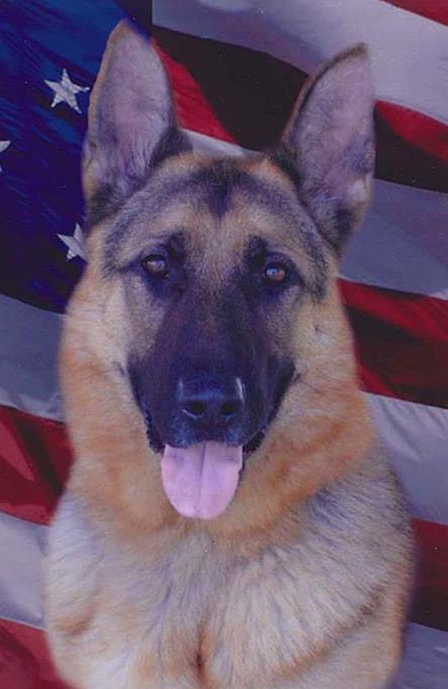 Dante suffered from pulmonary hypertensions and had to be put down.