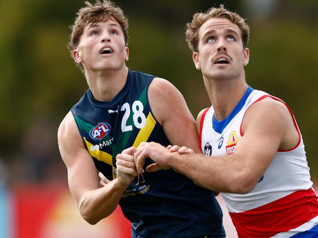 MELBOURNE, AUSTRALIA - APRIL 27: Jobe Shanahan of the AFL Academy and Lachlan Smith of the Bulldogs in action during the 2024 AFL Academy match between the Marsh AFL National Academy Boys and Footscray Bulldogs at Whitten Oval on April 27, 2024 in Melbourne, Australia. (Photo by Michael Willson/AFL Photos via Getty Images)