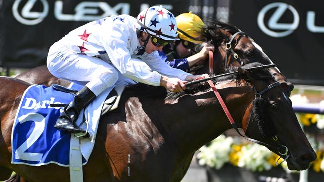 Zac Purton on-board Dublin Down in the first. Picture: Getty Images