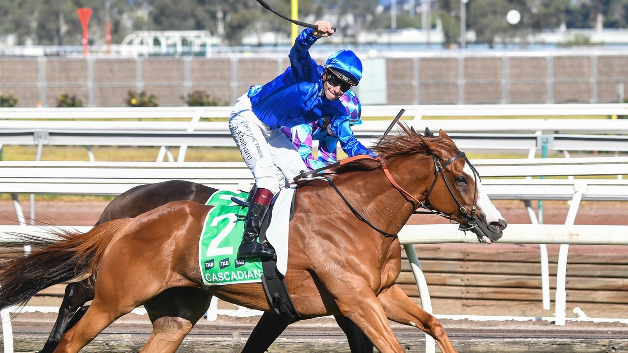 Cascadian (GB) ridden by Ben Melham wins the TAB Australian Cup at Flemington Racecourse on March 30, 2024 in Flemington, Australia. (Photo by Pat Scala/Racing Photos via Getty Images)