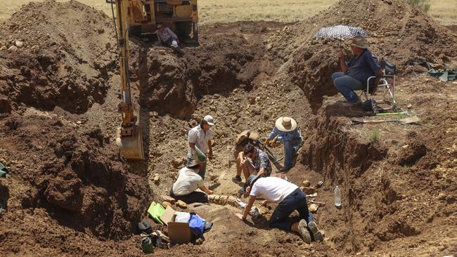 QLD Museum dig site of a Plesiosaur near Mckinlay, QLD. Photo – Peter Wallis