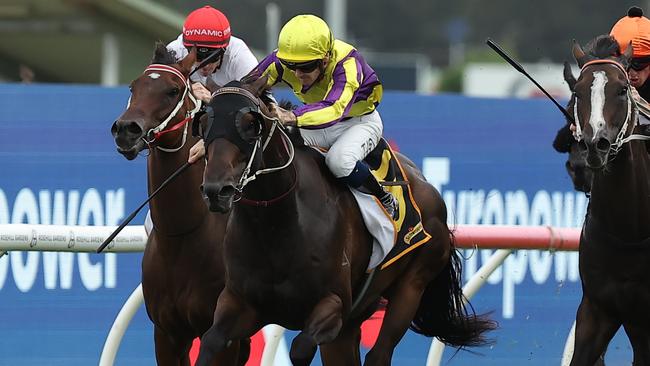 SYDNEY, AUSTRALIA - FEBRUARY 01: Tyler Schiller riding Willaidow win Race 8 Schweppes Southern Cross Stakes during Sydney Racing at Rosehill Gardens on February 01, 2025 in Sydney, Australia. (Photo by Jeremy Ng/Getty Images)