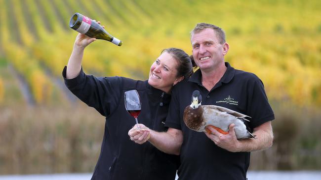 Jackie and Darren Brown in their Puddleduck vineyard, with their pet duck, Lucky, after a very busy Easter weekend. Big Weekend at Tasmanian wineries over Easter