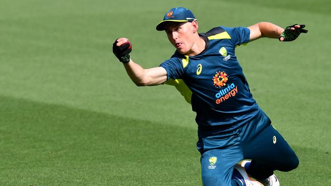 Marnus Labuschagne played the most days of cricket in the world in the past year. Picture: Darren England