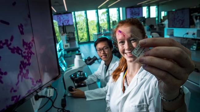 Veterinary medicine students Lorna Undy and Jeremy Wat. Picture: JAKE NOWAKOWSKI