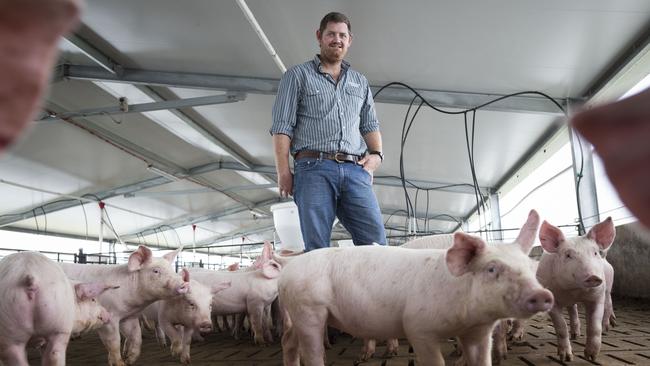 Pig farming: This little piggy went to market … in China | The Weekly Times