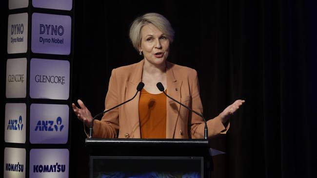 Environmental Minister Tanya Plibersek. Picture: Adam Taylor