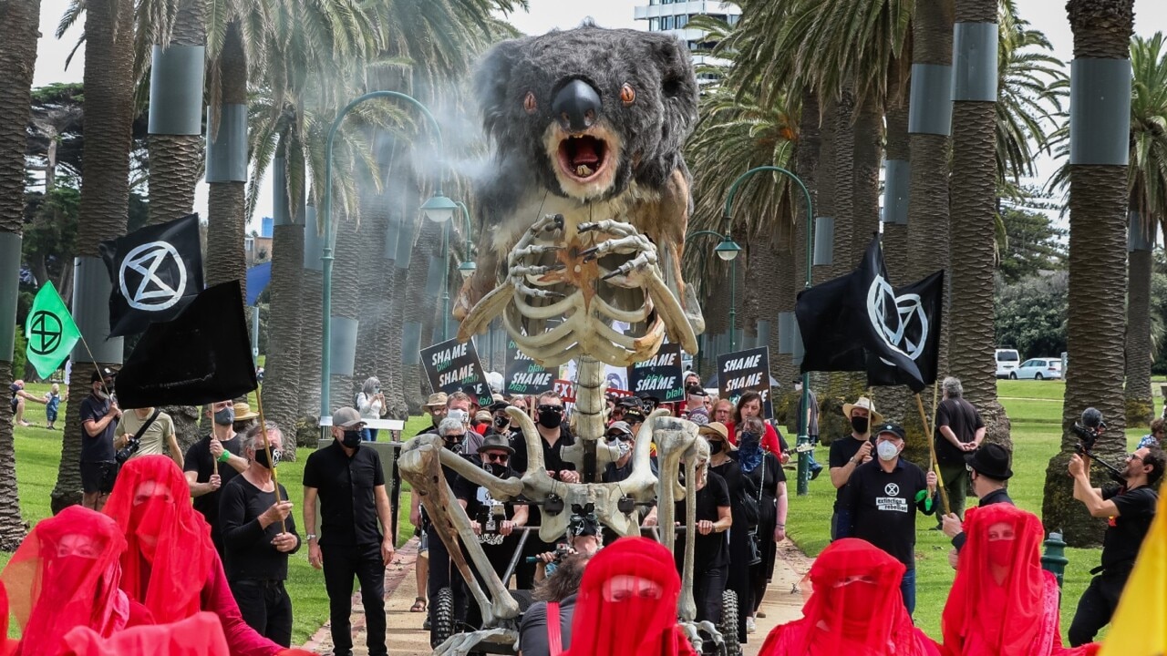 Extinction Rebellion protesters hold funeral for massive ‘burning koala’