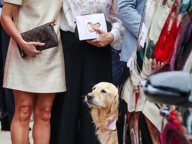 Zara the family dog after the service. Picture: NewsWire/Ian Currie