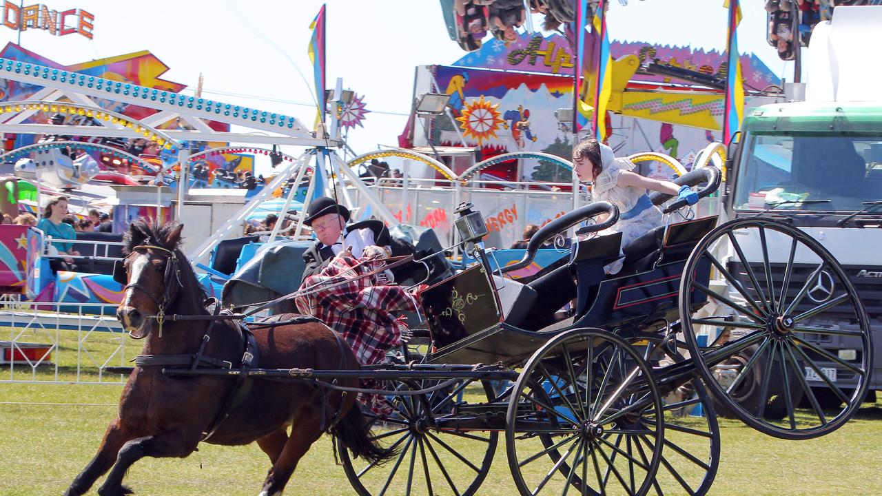 2011 Burnie Agricultural Show, the horse and antique carriage display went horribly wrong after the horse was spooked by a noise, the driver pulls on the reins and the girl passenger holds on tight