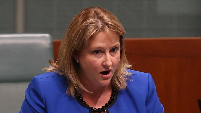 Rebekha Sharkie debating citizenship in the House of Representatives Chamber, at Parliament House in Canberra. Picture Kym Smith