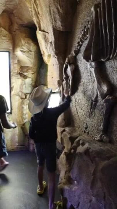 Fossil Trail at the Cairns Aquarium