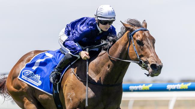 Hutchinson wins aboard Angel Torque at Murray Bridge on December 8. Picture: Makoto Kaneko