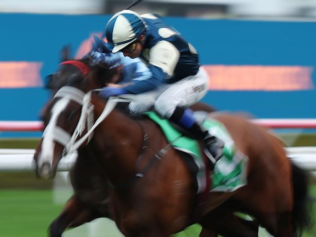 SYDNEY, AUSTRALIA - JULY 06: Kerrin Mcevoy riding Pure Alpha is seen in Race 10 TAB during Sydney Racing at Royal Randwick Racecourse on July 06, 2024 in Sydney, Australia. (Photo by Jeremy Ng/Getty Images)