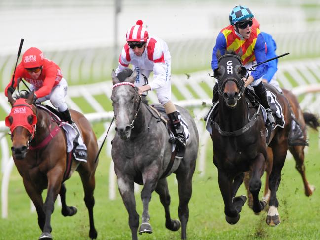 Tommy Berry celebrates as Pierata takes out The Shorts. Picture: AAP