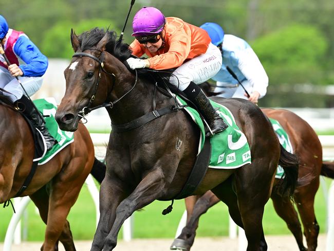 Kelly Schweida's two-year-old colt Grafterburners will line up in the $2m Inglis Millennium at Randwick on Saturday. Picture: Grant Peters, Trackside Photography.