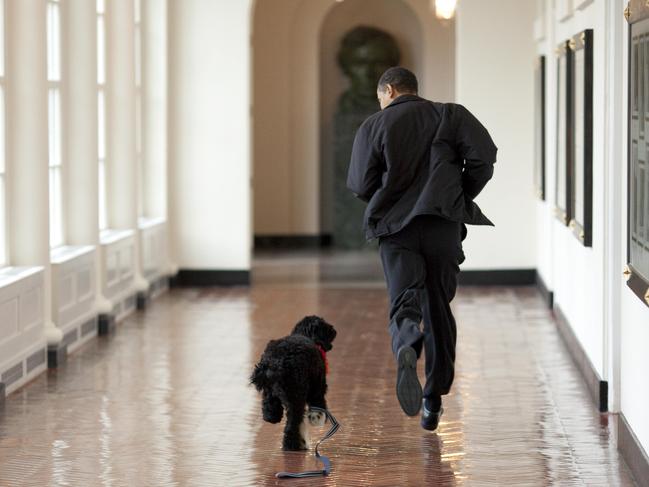 President Barack Obama running with Bo, the first family’s new pet dog, on March 15, 2009 at the White House in Washington, DC. Picture: Pete Souza/The White House