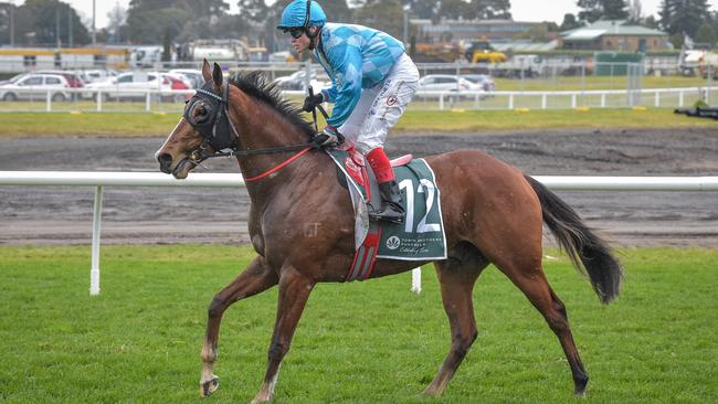 Developing stayer Teewaters will return to the scene of his Victoria Derby placing when he runs at Flemington on Saturday. Picture: Racing Photos via Getty Images