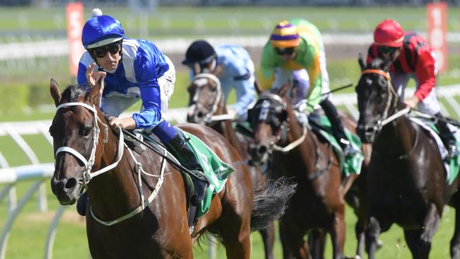 Winx left her rivals chasing fresh air after bolting away in the straight. Picture: Simon Bullard