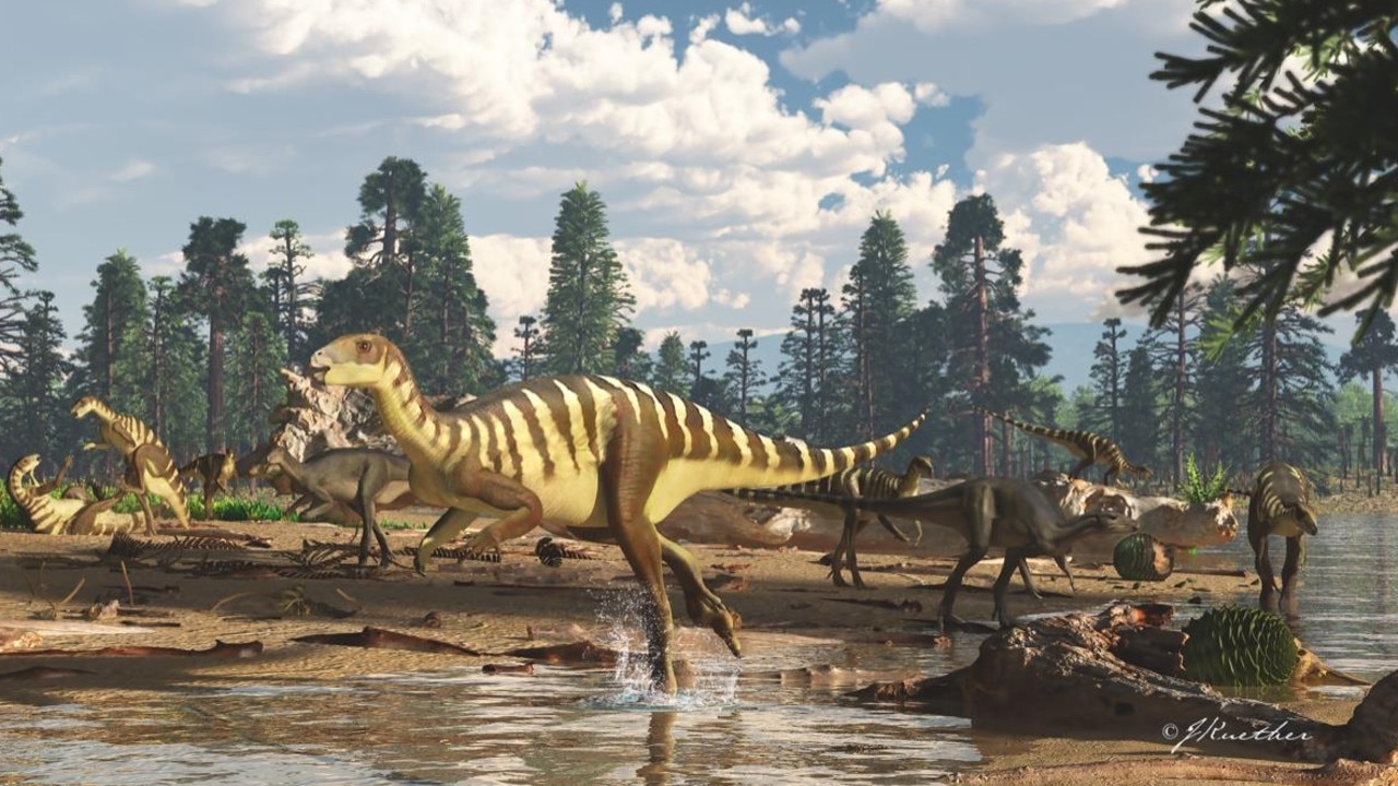 A recreation of Galleonosaurus dorisae and its Cretaceous environment. Picture: James Kuether