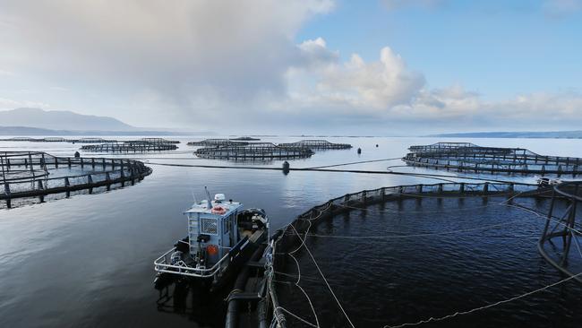 Tassal salmon pens, in Macquarie Harbour, Strahan, West Coast of Tasmania Picture: MATHEW FARRELL